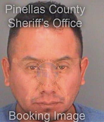 Mejia Miguel - Pinellas County, FL 