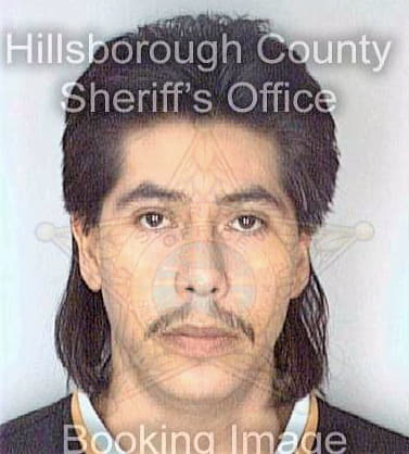 Mendezvillegas Joel - Hillsborough County, FL 