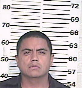 Hernandez Gerardo - Hidalgo County, TX 