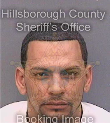 Dejesus Alvin - Hillsborough County, FL 