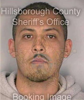 Ramirez Hugo - Hillsborough County, FL 