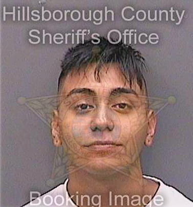 Delgado Josef - Hillsborough County, FL 