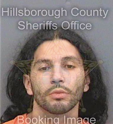 Zeledon Rodrigo - Hillsborough County, FL 