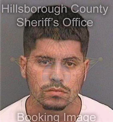 Guevara Carlos - Hillsborough County, FL 