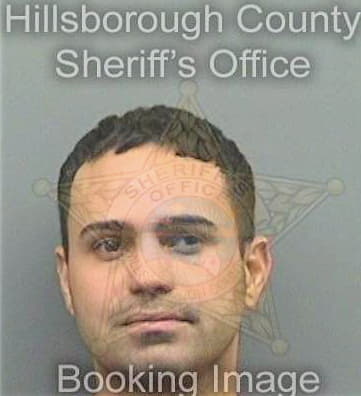 Vega Daniel - Hillsborough County, FL 