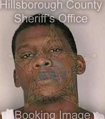 Mcgill Davin - Hillsborough County, FL 