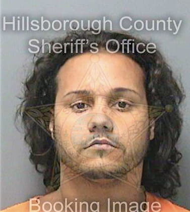 Ortiz Manuel - Hillsborough County, FL 