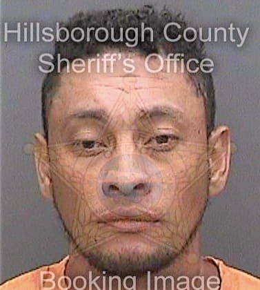 Pineda-Hernandez Franklin - Hillsborough County, FL 