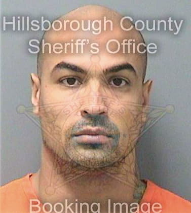 Stclaire Michael - Hillsborough County, FL 