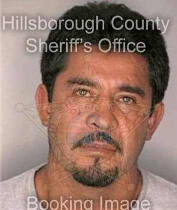 Diaz Miguel - Hillsborough County, FL 