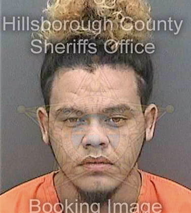 Johnson David - Hillsborough County, FL 