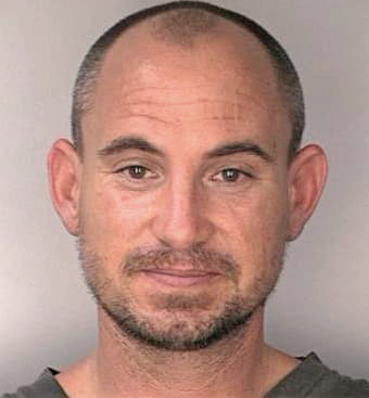 Mcdaniel Robert - Hillsborough County, FL 