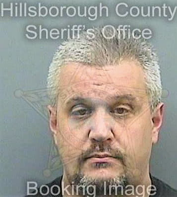 Niemi Ronald - Hillsborough County, FL 