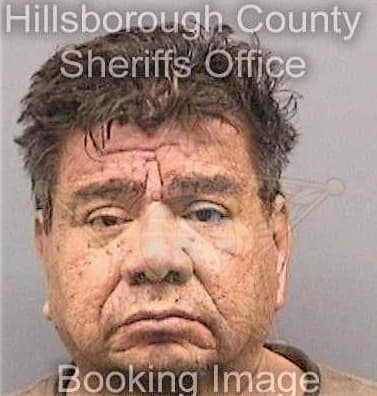 Gonzalez Carlos - Hillsborough County, FL 