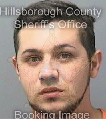 Cantu Daniel - Hillsborough County, FL 