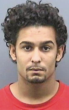 Vargas Joshua - Hillsborough County, FL 