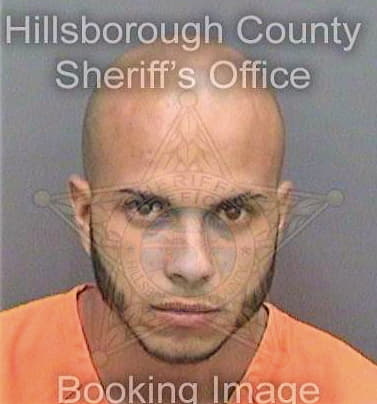 Gonzalezmartinez Landy - Hillsborough County, FL 