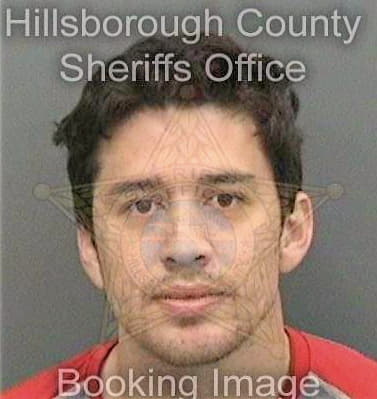 Orrego Daniel - Hillsborough County, FL 