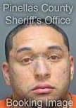 Ferrer Anthony - Pinellas County, FL 