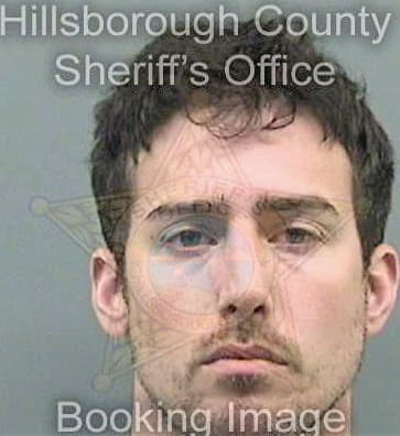 Johnson Matthew - Hillsborough County, FL 