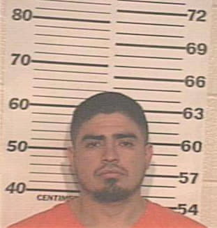 Verastegui David - Hidalgo County, TX 