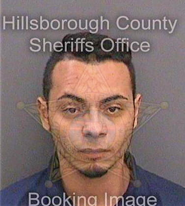 Sotogomez Juan - Hillsborough County, FL 