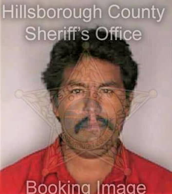 Ramirez Marcelino - Hillsborough County, FL 