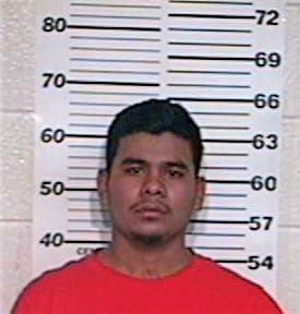 Trevino Edgar - Hidalgo County, TX 