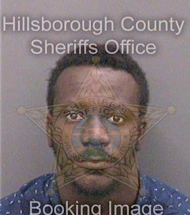 Dieng Aboubakr - Hillsborough County, FL 