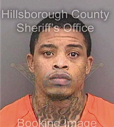 Johnson Corey - Hillsborough County, FL 