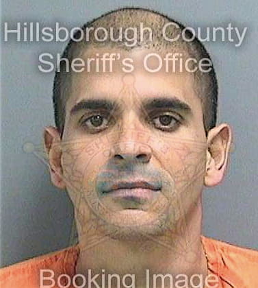 Martinez Jose - Hillsborough County, FL 