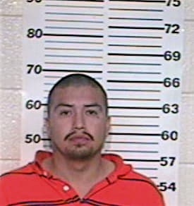 Palomo Rene - Hidalgo County, TX 