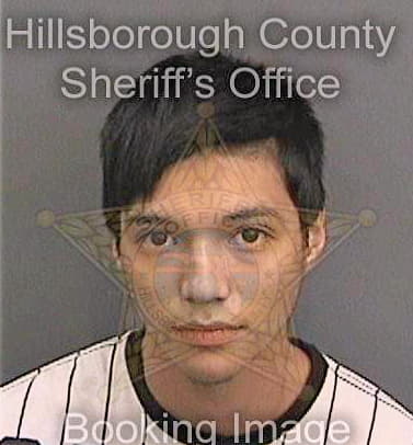 Salas Jamie - Hillsborough County, FL 