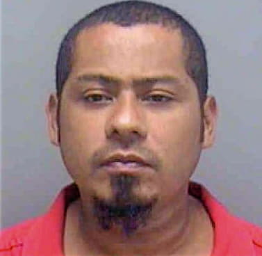 Hernandez Cesar - Lee County, FL 