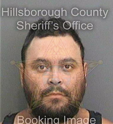 Nunez Jose - Hillsborough County, FL 