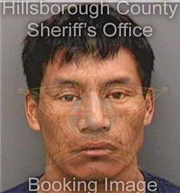 Perezandres Santiago - Hillsborough County, FL 