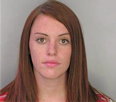 Blazek Morgan - Hillsborough County, FL 