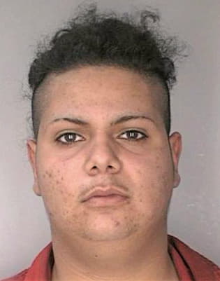 Melendez Misael - Hillsborough County, FL 