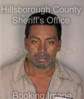 Mendez Odilon - Hillsborough County, FL 