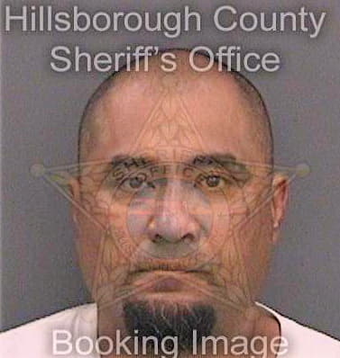 Cruz Leonel - Hillsborough County, FL 