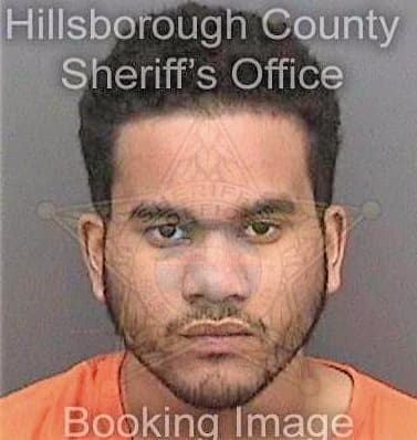 Cruz David - Hillsborough County, FL 