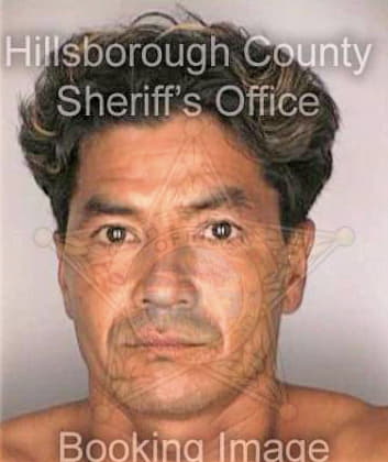Bonilla Erles - Hillsborough County, FL 