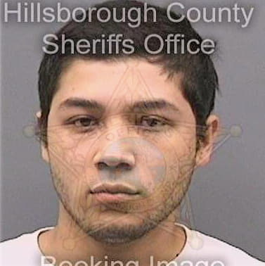 Estrella Jesus - Hillsborough County, FL 