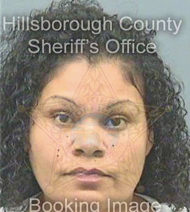 Medina Karelyn - Hillsborough County, FL 