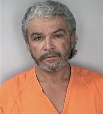 Martinez Roque - Hillsborough County, FL 