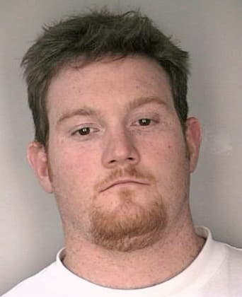 Mcneff Brian - Hillsborough County, FL 