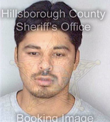 Garcia Juan - Hillsborough County, FL 