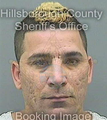 Lermos Michael - Hillsborough County, FL 