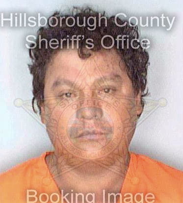 Blanco Angel - Hillsborough County, FL 