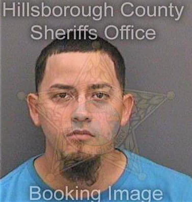 Garcia Carlos - Hillsborough County, FL 